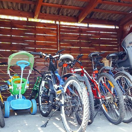Camping Nr 61 Elblag Exteriör bild